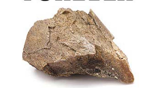 No news is good news about ThinkGeek fossil sales?